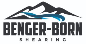 Benger-Born Shearing in Roxburgh, Central Otago (4)