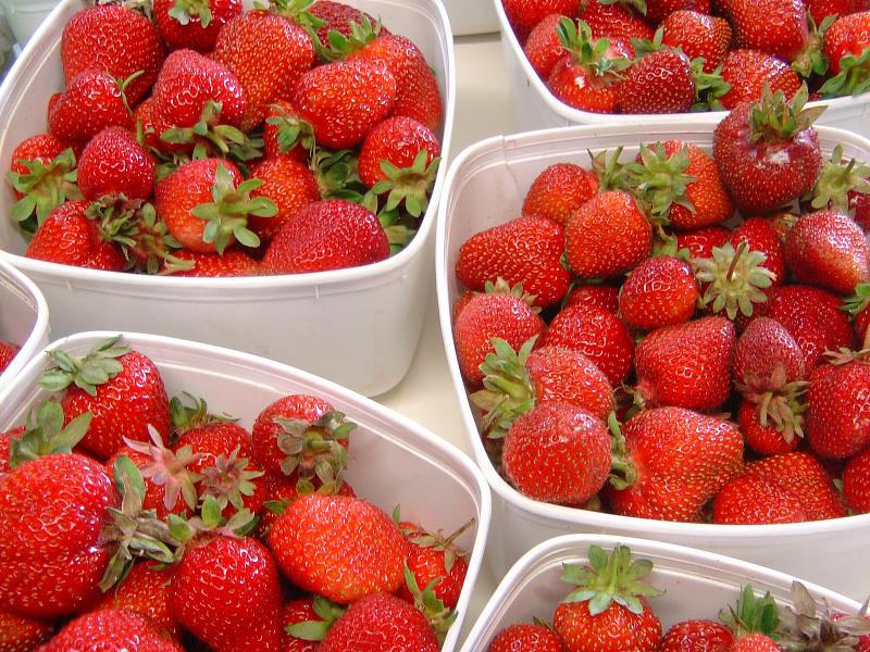 Berryland Strawberries_800x600